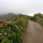 Azoren 4/10