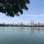 Dag4: New York, New York